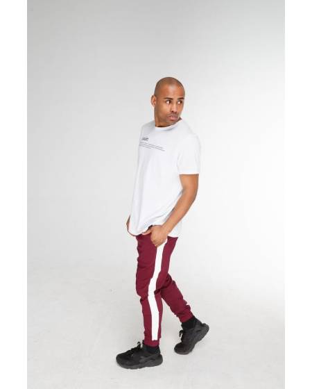 Штаны мужские джогеры с лампасми бордовые