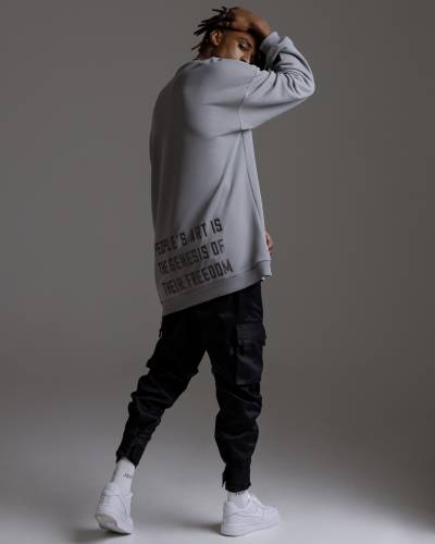 Лонгслив мужской с вышивкой GENESIS серый